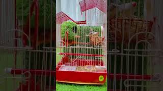 Kya Ap Hamein Subscribe Kre Gy?