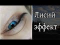 Лисий эффект