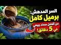 توقف عن إضاعة مالك على الأسمدة هذا المكون المجاني يحيي حديقتك الميتة