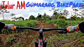 Follow Patrol DH 871//Gumarang Bikepark line AM #shorts #shorts video