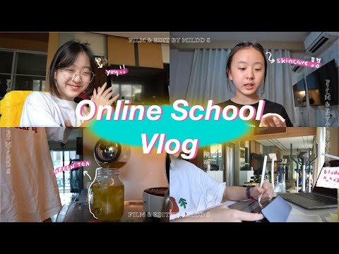 OnlineSchoolVlog🖍📙