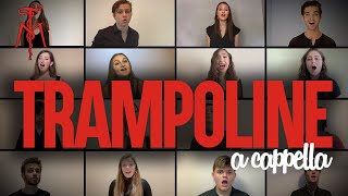 "Trampoline" (SHAED) - Twisted Measure A Cappella