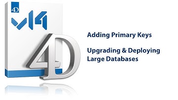 Preparing for 4D v14 Journaling