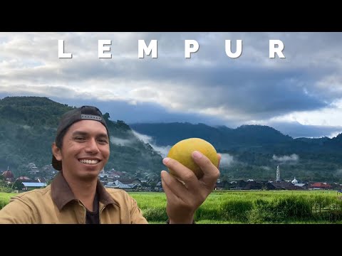 Indonesian Lempur