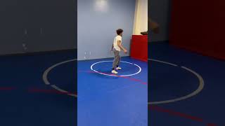 Famous Backwards Roll Net Worth