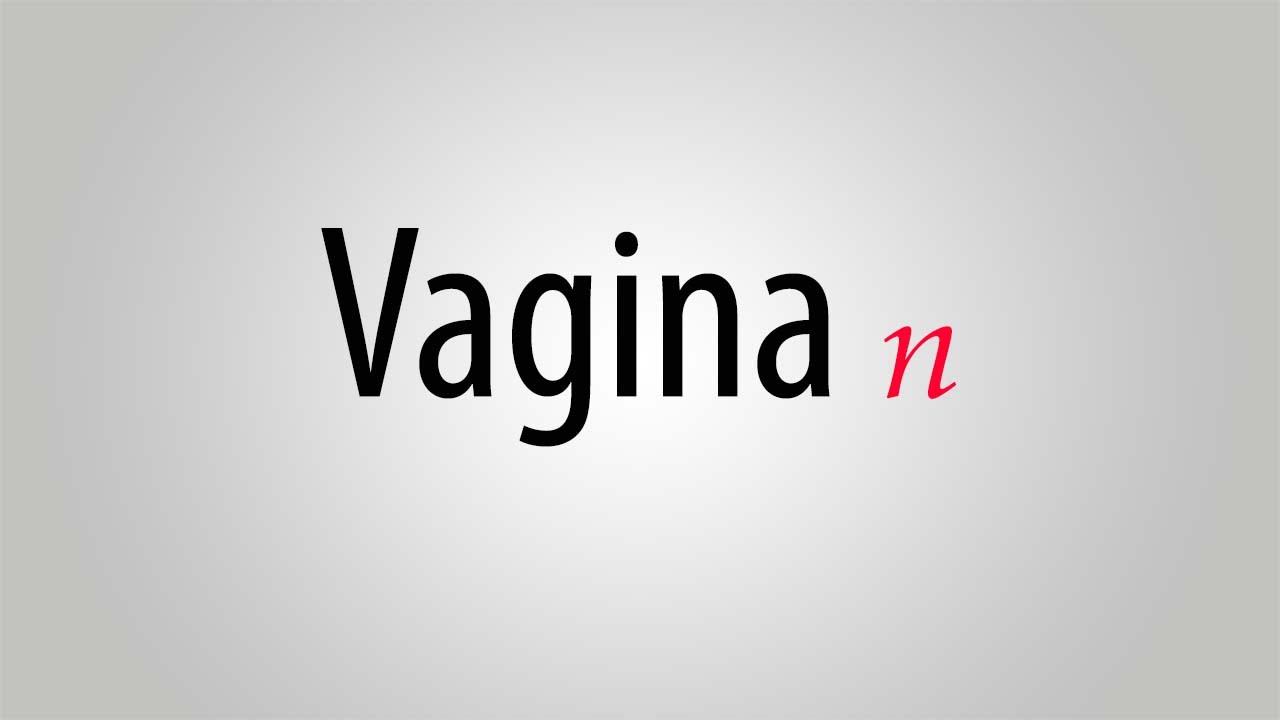 What is the meaning of vagina
