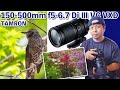 【カメラ】タムロンの超望遠ズームレンズ「150-500mm f5-6.7 Di Ⅲ VC VXD 」で野鳥撮影 (Sony Eマウント)