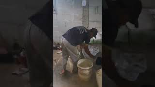 reallyfunny funnycomedyshorts shortscomedy Iajskekeo