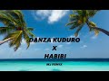 Danza Kuduro X Habibi Speed Up 