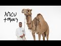 አስረህ ተማመን Asereh Temamen 2025 New Amharic