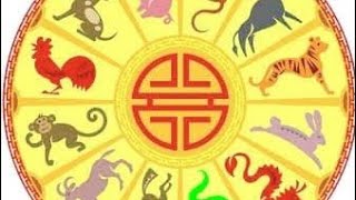 ramalan karier, keberuntungan dan kesehatan shio anjing 2024. #ramalan #astrology #Imlek