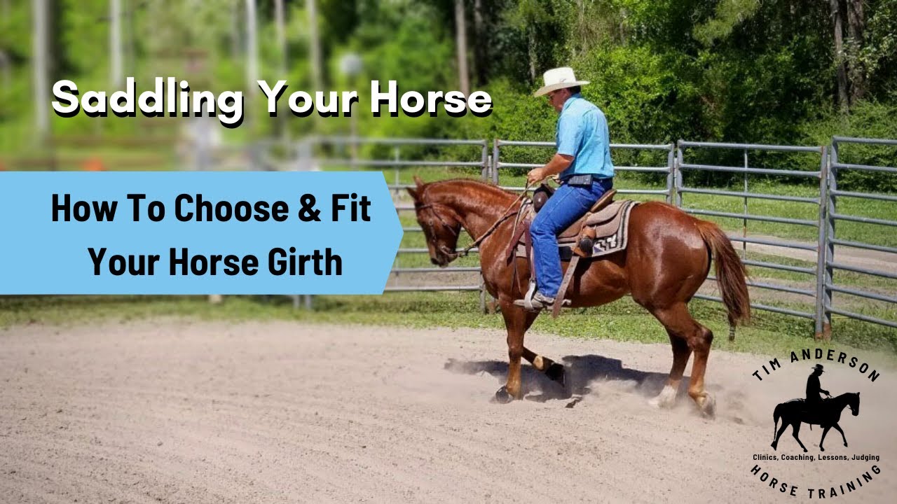 Седлаем лошадь | Как выбрать и подогнать подпругу для лошади