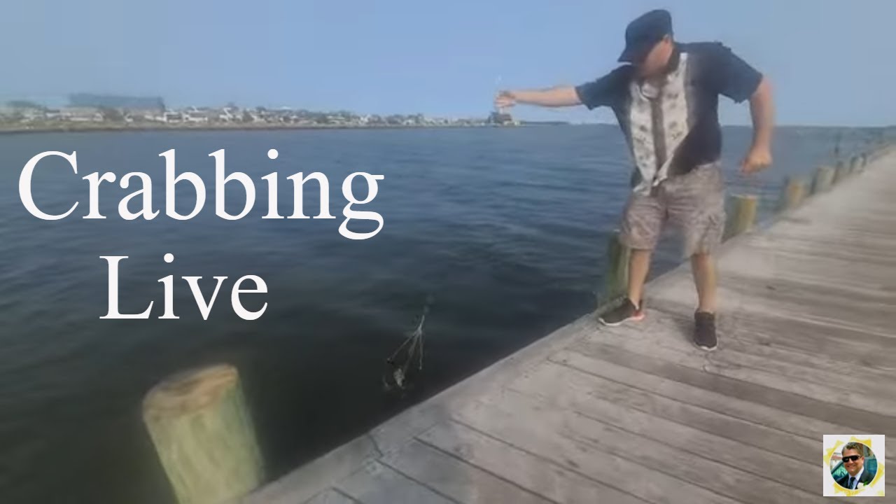 Crabbing with me from the dock YouTube