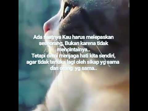 Andrea Blog: Kata Kata Menjaga Perasaan Seseorang
