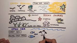 Aquatic Ecosystems