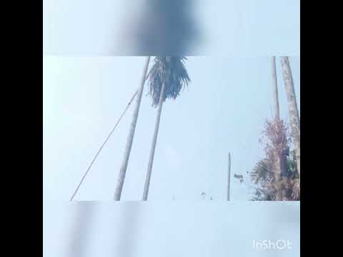 Gue aka.atjok gasujok ia bilside Gue aka.atjok gasujok ia bilside