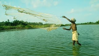 #Oldest Method of Fishing #East Cost Road Chennai I #Fishing I #Indian #Fisherman I MIM