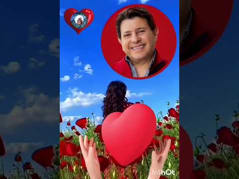 هاني شاكر لف يا قلبي