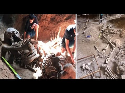 Video: A Unique Discovery Of A Giant Skeleton In Thailand - A Giant, Possibly Killed By A Horned Snake - Alternative View