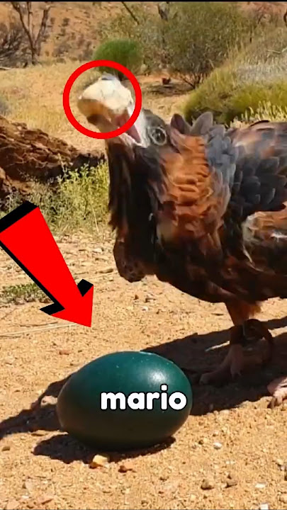 eagle showing his abilities 😱 #eagle