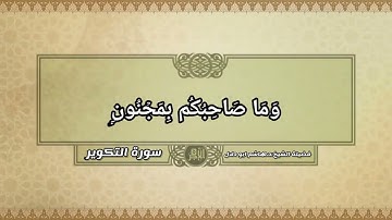 سورة التكوير بصوت القارئ الشيخ د.هاشم ابو دلال ✨