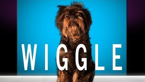 Jason Derulo - "Wiggle" feat. Snoop Dogg (Cute Dog Version)