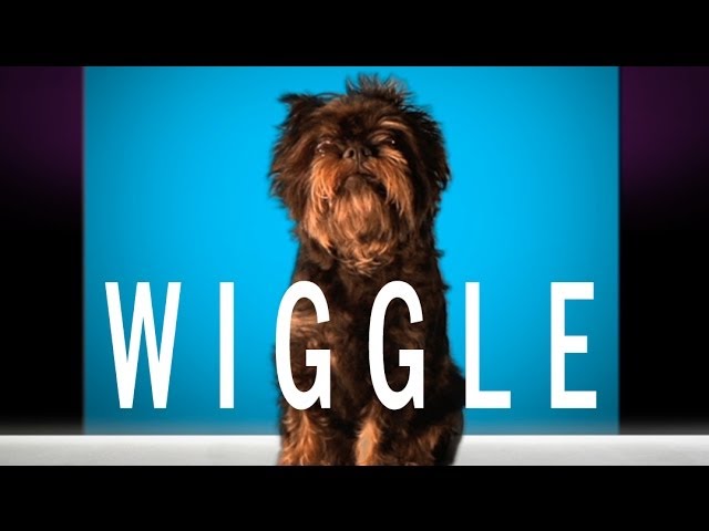 Jason Derulo - "Wiggle" feat. Snoop Dogg (Cute Dog Version)