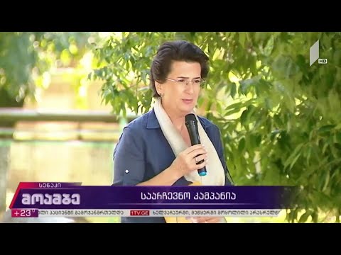 #არჩევნები2020 საარჩევნო კამპანია