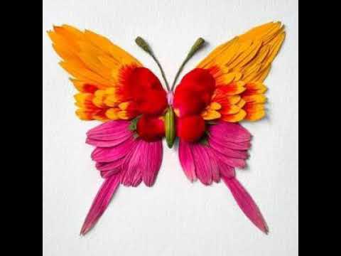 Capa de [TJ노래방라운지] 홍시(울엄마) - 나훈아