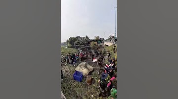 Hơn 200 tình nguyện viên cùng thu gom 50 tấn rác  #saigonxanh #cleaning #satisfying #shorts