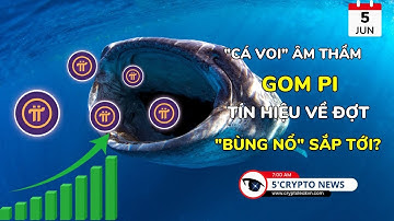 [5 Phút Crypto] - "Cá voi" Âm thầm Gom Pi - Tín Hiệu Về Đợt "Bùng Nổ" Sắp Tới?