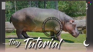 🌙 Zbrush ✣ Using Spotlight for Background Images / #09