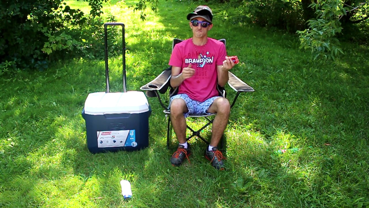 Things To Bring To The Picnic YouTube