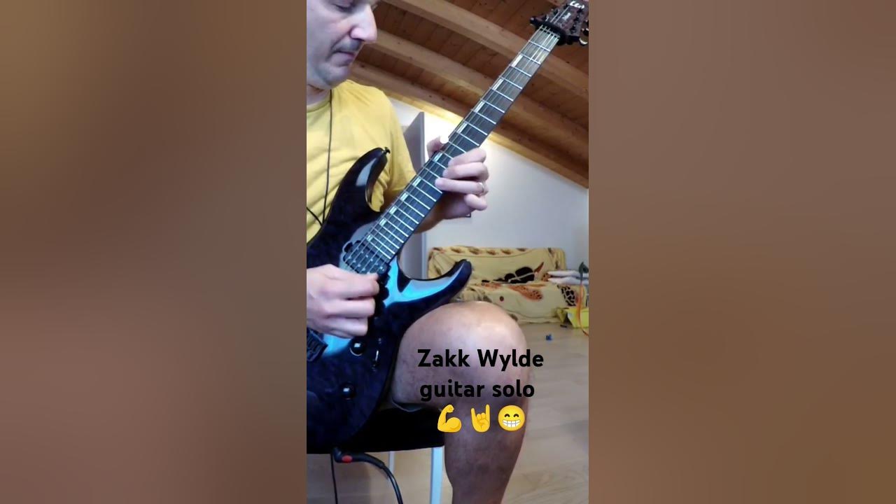 guitarra de ozzy osbourne