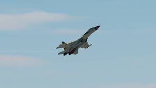 Testing EFM thrust vectoring in Su-35 mod (DCS World)