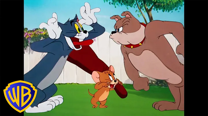 Tom & Jerry | Best Buddies  | Classic Cartoon Comp...