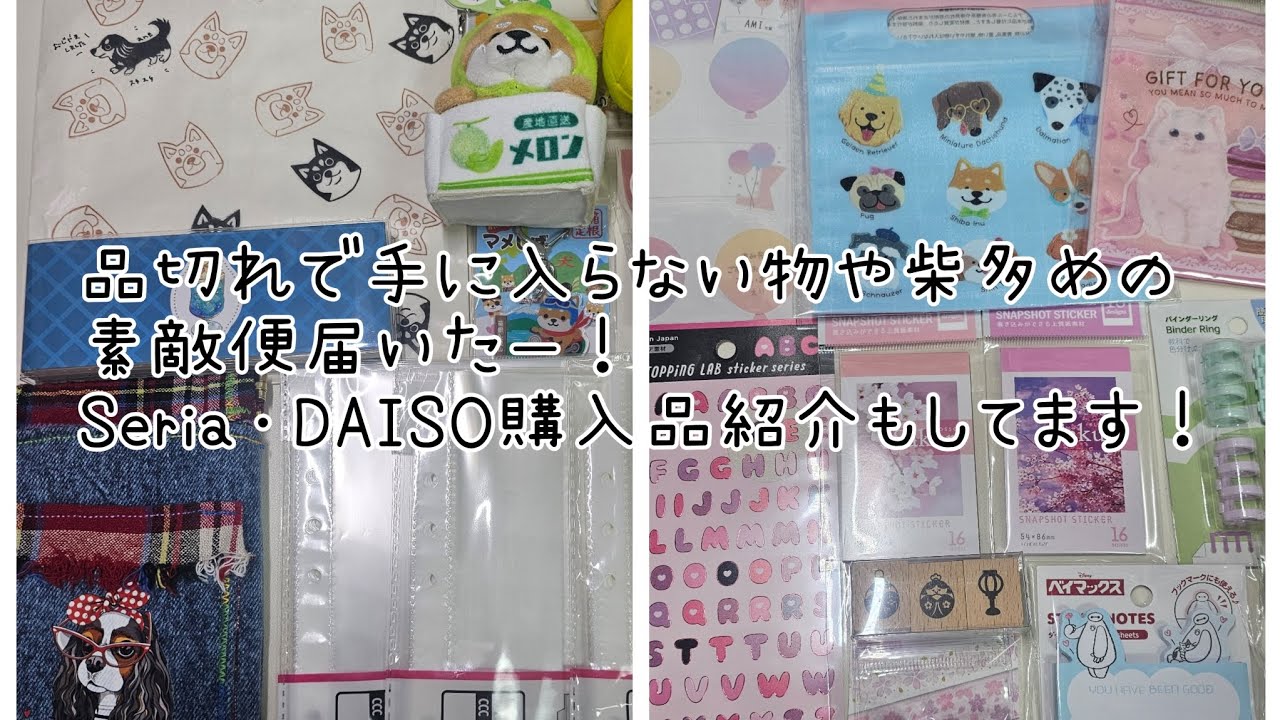 頂いた物も可愛いし購入してきた物も可愛いし今回もテンション高めてます⤴️⤴️お雛様のラバースタンプ可愛い🌸【声入り】#手帳 #購入品紹介 #素敵便 #ASMR 