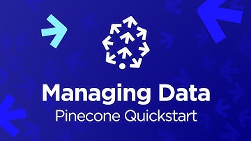 Pinecone #4 - Managing Data