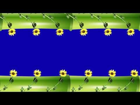 bamboo-&-sunflowers-frame-background-video