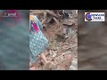 शामली के गांव भैंसवाल, बूंटा,गढ़ीपुख्ता -बरसात में उजड़ते आशियाने | प्रधानमंत्री आवास योजना पर सवाल