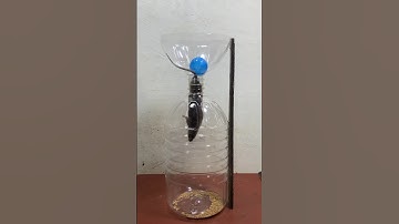 easy mousetrap from scrap plastic bottles / creative mousetrap #rat #rattrap #mousetrap #shorts