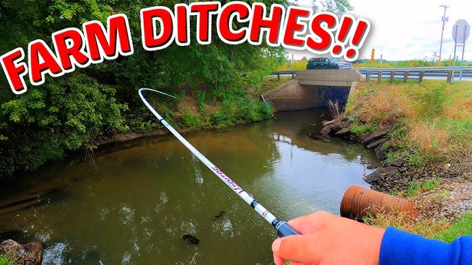 Action Packed!! Small Creek Fishing 