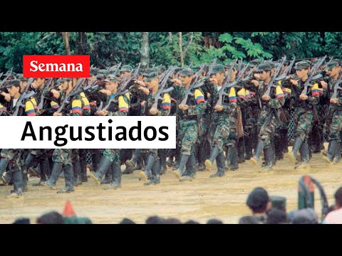 Audio: disidentes muestran su angustia luego del bombardeo a Iván Mordisco