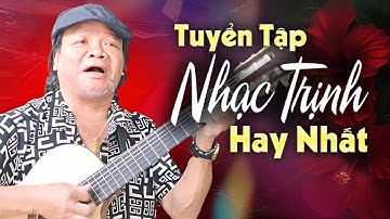 NGHE LÀ NGHIỆN Với Tuyển Tập Nhạc Trịnh Hay Nhất Của Toàn Nguyễn | Ru Đời Đi Nhé, Nỗi Niềm Riêng...