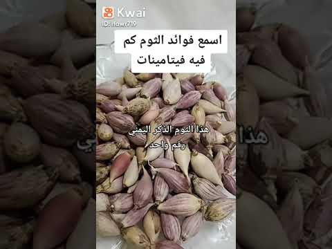 اسمع فوائد الثوم كم فيه فيتامينات