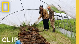 Using carbon rich kelp to fertilize the farm | Farm Dreams