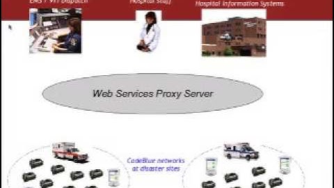 Extending the Internet Architecture to Sensor Networks: Some Open Questions