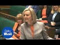 'Barking dogs deter drones': Justice chief Liz Truss baffles MPs - Daily Mail