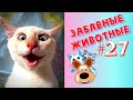 Приколы с Животными #27 / Смешные Животные / Приколы 2020 / Приколы про Животных / Лучшие Приколы