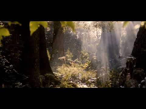 alixe.,Antent-Waiting for you